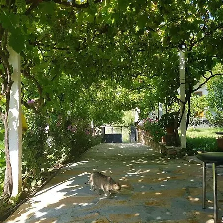 Dom wakacyjny With 100% Bio Food Maliq