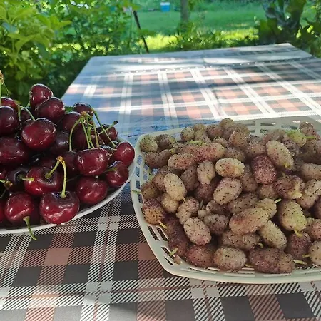 בית נופש With 100% Bio Food Maliq