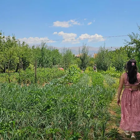 With 100% Bio Food בית נופש