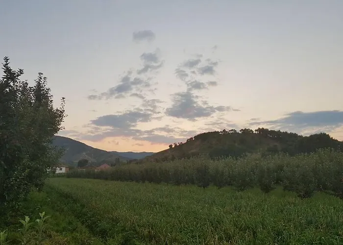 With 100% Bio Food Maliq