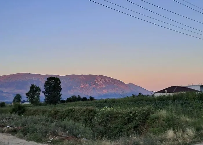 With 100% Bio Food Maliq