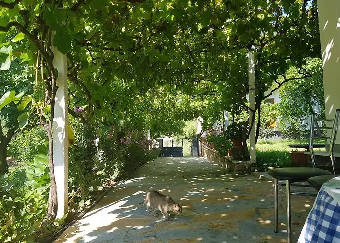 Dom wakacyjny With 100% Bio Food Maliq