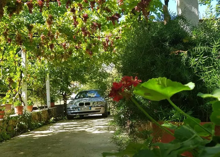 With 100% Bio Food Dom wakacyjny *