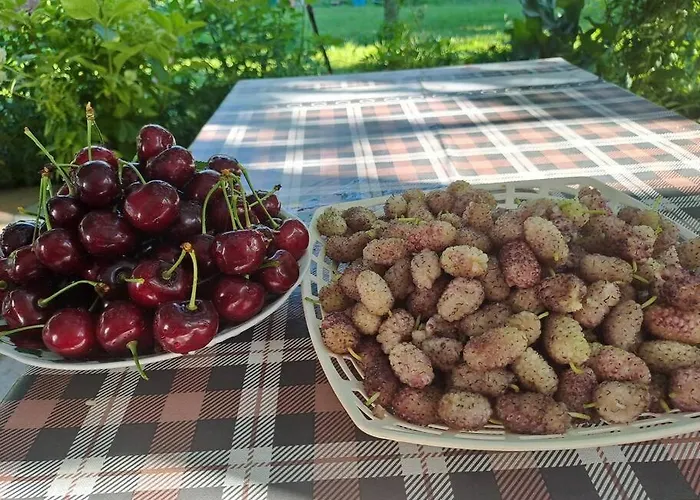 Dom wakacyjny With 100% Bio Food Maliq