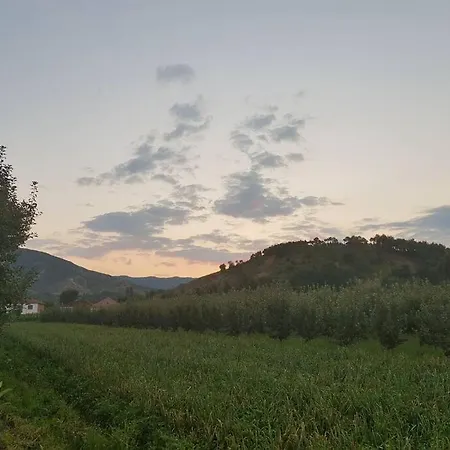 With 100% Bio Food Maliq