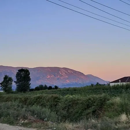 With 100% Bio Food Maliq